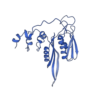 9237_6mtb_CC_v1-1
Rabbit 80S ribosome with P- and Z-site tRNAs (unrotated state)