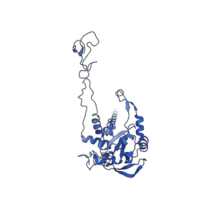 9237_6mtb_C_v1-1
Rabbit 80S ribosome with P- and Z-site tRNAs (unrotated state)