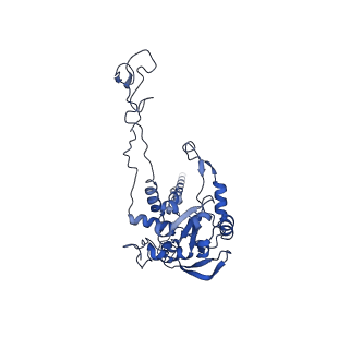 9237_6mtb_C_v2-0
Rabbit 80S ribosome with P- and Z-site tRNAs (unrotated state)