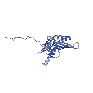 9237_6mtb_DD_v2-0
Rabbit 80S ribosome with P- and Z-site tRNAs (unrotated state)