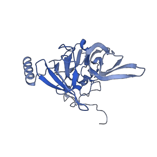 9237_6mtb_EE_v1-1
Rabbit 80S ribosome with P- and Z-site tRNAs (unrotated state)