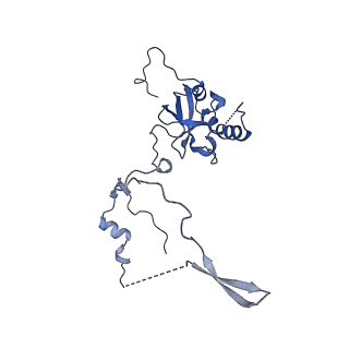 9237_6mtb_E_v1-1
Rabbit 80S ribosome with P- and Z-site tRNAs (unrotated state)