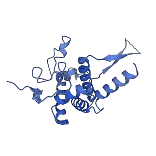9237_6mtb_FF_v1-1
Rabbit 80S ribosome with P- and Z-site tRNAs (unrotated state)