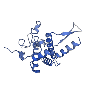 9237_6mtb_FF_v2-0
Rabbit 80S ribosome with P- and Z-site tRNAs (unrotated state)