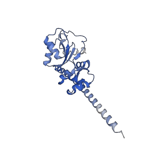9237_6mtb_F_v1-1
Rabbit 80S ribosome with P- and Z-site tRNAs (unrotated state)