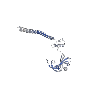 9237_6mtb_GG_v1-1
Rabbit 80S ribosome with P- and Z-site tRNAs (unrotated state)