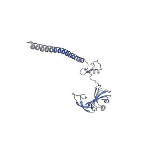 9237_6mtb_GG_v2-0
Rabbit 80S ribosome with P- and Z-site tRNAs (unrotated state)