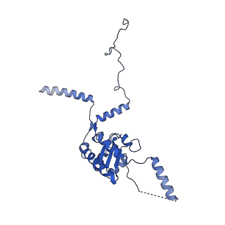 9237_6mtb_G_v1-1
Rabbit 80S ribosome with P- and Z-site tRNAs (unrotated state)