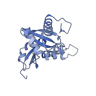 9237_6mtb_HH_v1-1
Rabbit 80S ribosome with P- and Z-site tRNAs (unrotated state)