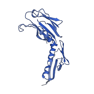 9237_6mtb_H_v1-1
Rabbit 80S ribosome with P- and Z-site tRNAs (unrotated state)