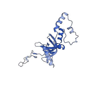 9237_6mtb_II_v1-1
Rabbit 80S ribosome with P- and Z-site tRNAs (unrotated state)