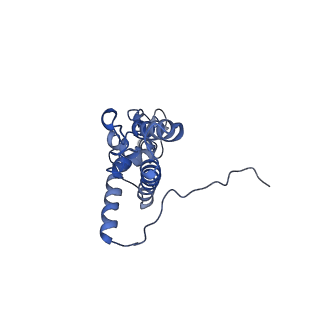 9237_6mtb_JJ_v1-1
Rabbit 80S ribosome with P- and Z-site tRNAs (unrotated state)