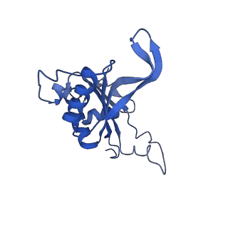 9237_6mtb_J_v1-1
Rabbit 80S ribosome with P- and Z-site tRNAs (unrotated state)