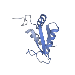 9237_6mtb_KK_v1-1
Rabbit 80S ribosome with P- and Z-site tRNAs (unrotated state)