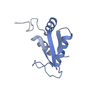 9237_6mtb_KK_v2-0
Rabbit 80S ribosome with P- and Z-site tRNAs (unrotated state)