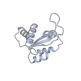 9237_6mtb_MM_v1-1
Rabbit 80S ribosome with P- and Z-site tRNAs (unrotated state)