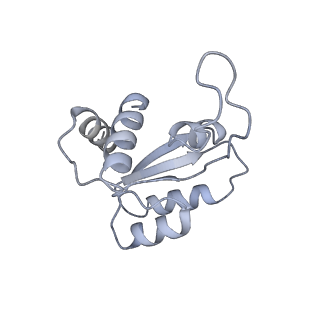 9237_6mtb_MM_v2-0
Rabbit 80S ribosome with P- and Z-site tRNAs (unrotated state)