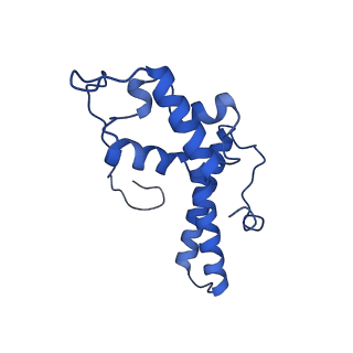 9237_6mtb_NN_v1-1
Rabbit 80S ribosome with P- and Z-site tRNAs (unrotated state)