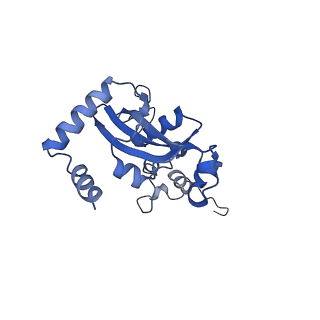 9237_6mtb_N_v1-1
Rabbit 80S ribosome with P- and Z-site tRNAs (unrotated state)