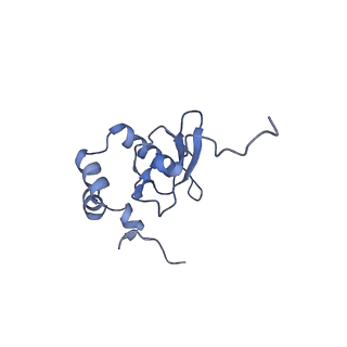 9237_6mtb_PP_v1-1
Rabbit 80S ribosome with P- and Z-site tRNAs (unrotated state)