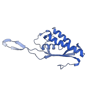 9237_6mtb_P_v1-1
Rabbit 80S ribosome with P- and Z-site tRNAs (unrotated state)