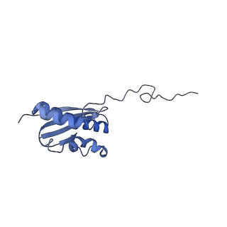 9237_6mtb_QQ_v1-1
Rabbit 80S ribosome with P- and Z-site tRNAs (unrotated state)