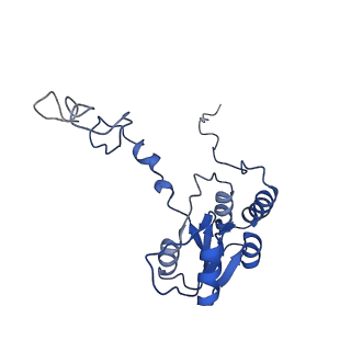 9237_6mtb_Q_v1-1
Rabbit 80S ribosome with P- and Z-site tRNAs (unrotated state)