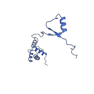 9237_6mtb_RR_v1-1
Rabbit 80S ribosome with P- and Z-site tRNAs (unrotated state)