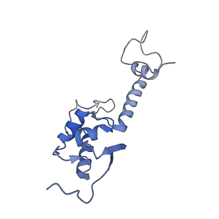 9237_6mtb_SS_v1-1
Rabbit 80S ribosome with P- and Z-site tRNAs (unrotated state)