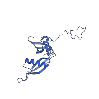 9237_6mtb_S_v1-1
Rabbit 80S ribosome with P- and Z-site tRNAs (unrotated state)