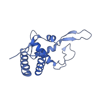 9237_6mtb_TT_v1-1
Rabbit 80S ribosome with P- and Z-site tRNAs (unrotated state)
