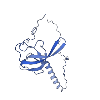 9237_6mtb_T_v1-1
Rabbit 80S ribosome with P- and Z-site tRNAs (unrotated state)