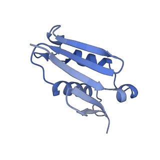 9237_6mtb_U_v1-1
Rabbit 80S ribosome with P- and Z-site tRNAs (unrotated state)