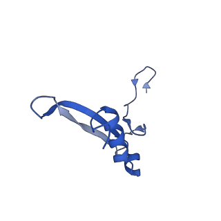 9237_6mtb_VV_v1-1
Rabbit 80S ribosome with P- and Z-site tRNAs (unrotated state)