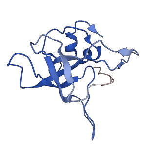 9237_6mtb_V_v1-1
Rabbit 80S ribosome with P- and Z-site tRNAs (unrotated state)