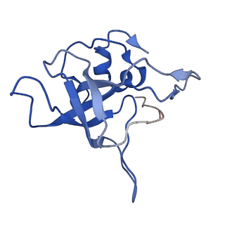9237_6mtb_V_v2-0
Rabbit 80S ribosome with P- and Z-site tRNAs (unrotated state)