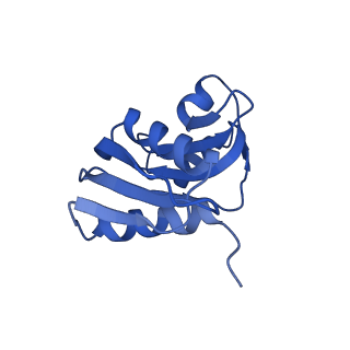 9237_6mtb_WW_v1-1
Rabbit 80S ribosome with P- and Z-site tRNAs (unrotated state)