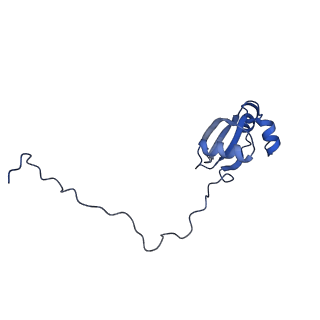 9237_6mtb_X_v1-1
Rabbit 80S ribosome with P- and Z-site tRNAs (unrotated state)