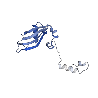 9237_6mtb_YY_v1-1
Rabbit 80S ribosome with P- and Z-site tRNAs (unrotated state)