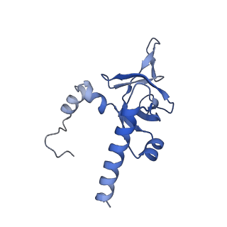 9237_6mtb_Y_v1-1
Rabbit 80S ribosome with P- and Z-site tRNAs (unrotated state)