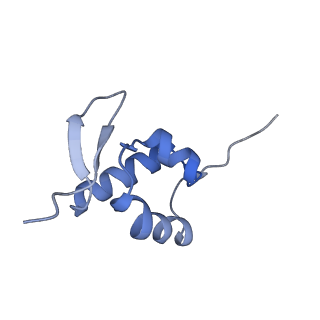9237_6mtb_ZZ_v1-1
Rabbit 80S ribosome with P- and Z-site tRNAs (unrotated state)