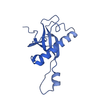 9237_6mtb_Z_v1-1
Rabbit 80S ribosome with P- and Z-site tRNAs (unrotated state)
