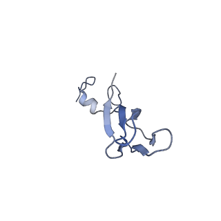9237_6mtb_bb_v1-1
Rabbit 80S ribosome with P- and Z-site tRNAs (unrotated state)