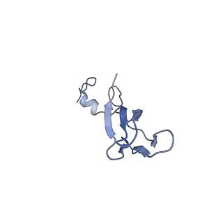 9237_6mtb_bb_v2-0
Rabbit 80S ribosome with P- and Z-site tRNAs (unrotated state)