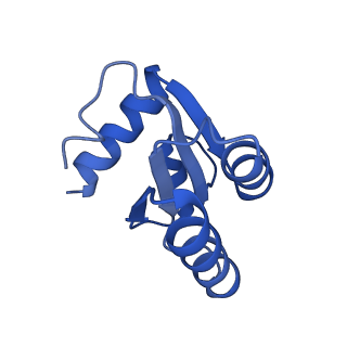 9237_6mtb_c_v1-1
Rabbit 80S ribosome with P- and Z-site tRNAs (unrotated state)