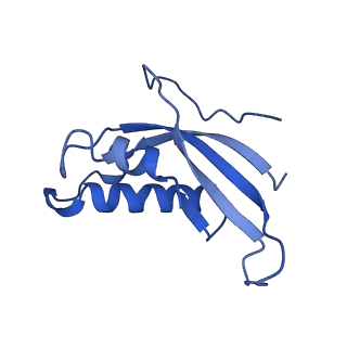 9237_6mtb_d_v1-1
Rabbit 80S ribosome with P- and Z-site tRNAs (unrotated state)