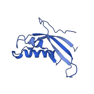 9237_6mtb_d_v2-0
Rabbit 80S ribosome with P- and Z-site tRNAs (unrotated state)