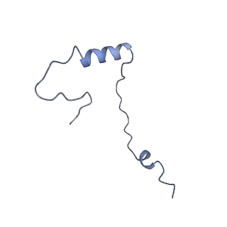9237_6mtb_ee_v1-1
Rabbit 80S ribosome with P- and Z-site tRNAs (unrotated state)