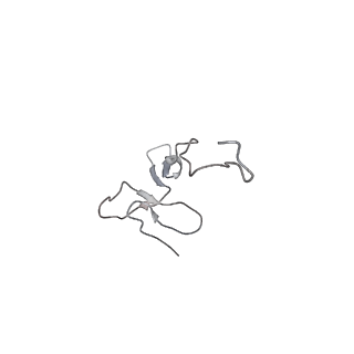 9237_6mtb_ff_v1-1
Rabbit 80S ribosome with P- and Z-site tRNAs (unrotated state)