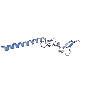 9237_6mtb_g_v1-1
Rabbit 80S ribosome with P- and Z-site tRNAs (unrotated state)